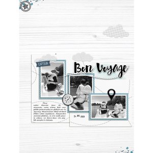 Bon voyage