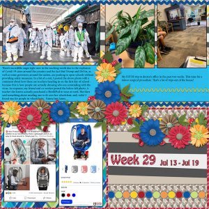 Week 29 of 52