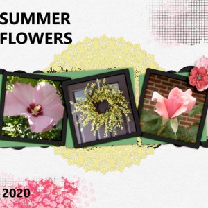 SUMMER FLOWERS