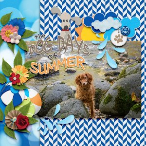 Dog Days of Summer