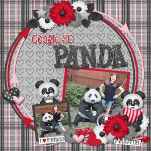 Google 3D Panda