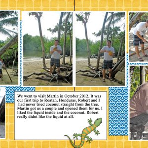 Coconuts