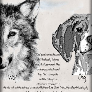 Wolf-Dog