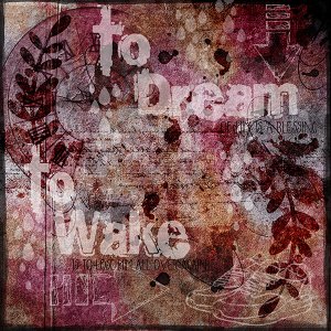 To Dream