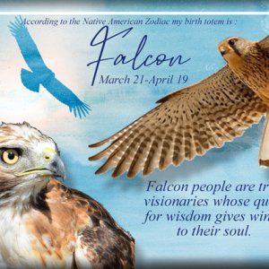 ATC 2020-110 Falcon