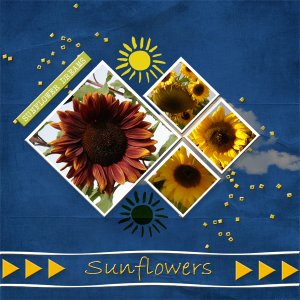 Sunflowers