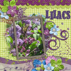 Lilacs