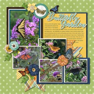 Butterfly Garden