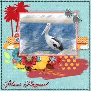Pelican