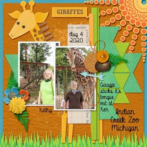 Giraffes