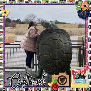 Turtle Kisses
