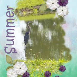 Summer