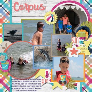 Corpus9-14