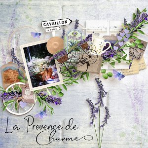 La Provence de Charmes