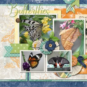 Butterfly Garden