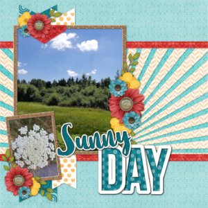 Sunny Day, August 2020