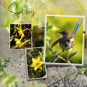 SPRING IS COMING (RIGHT)