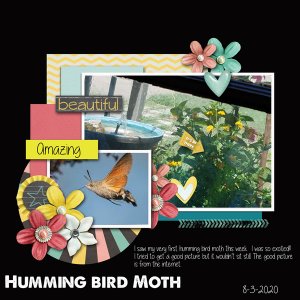 2020-August-Designer-Spotlight-Design-rs