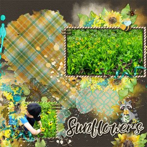 cmg_sunflowersayingSDD_MFish_BlendedBeauties600