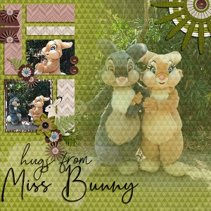 Hugs from Miss Bunny