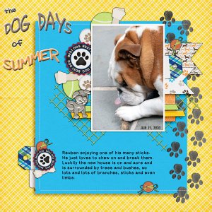 The Dog Days Of Summer