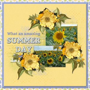 What an amazing SUMMER DAY