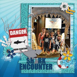 shark encounter