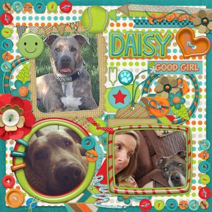 Happy Bday Daisy