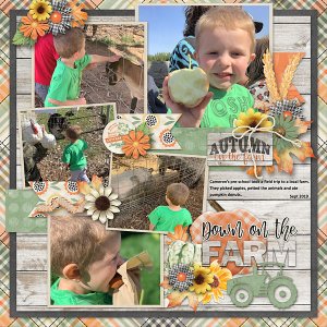 Cameron-at-the-farm-web