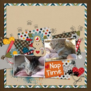 Nap Time