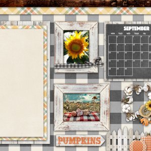 September 2020 Desktop