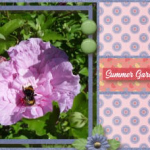 Summer Garden