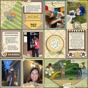 Week 26 of 2020 Focus on House Projects