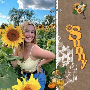 Sunny