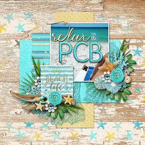 PCB
