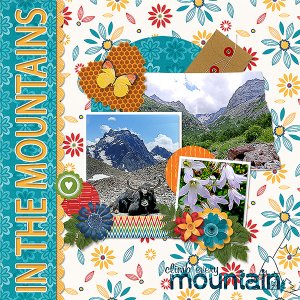 In the Mountains