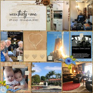 Week 31 Page 01