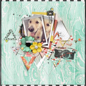 tnp-TRY-ANGLES-SNAPHAPPY_Tracy