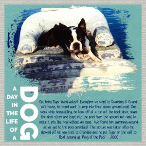 King of the Pool - DDD Storytelling Aug 2020