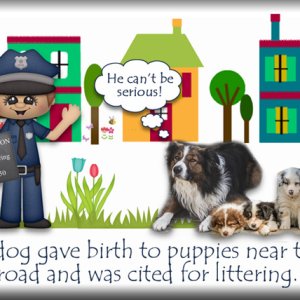 ATC-2020-118-A-Dog-Gave-Birth