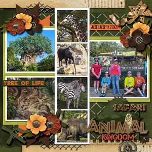 Animal Kingdom