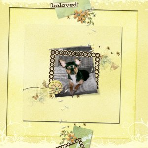 Beloved Indie