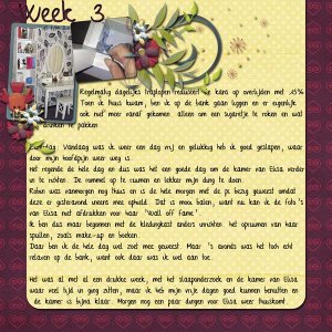 Week 3-11
