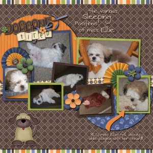 cap_lc_catsanddogs_ellie3
