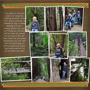 Muir Woods Pg. 2