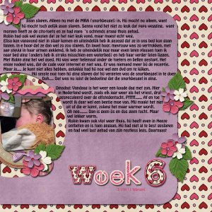 week_6-3