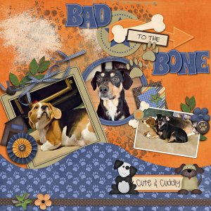 Bad to the Bone