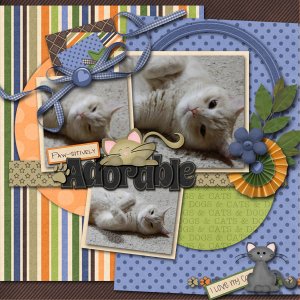 Paws-itively Adorable