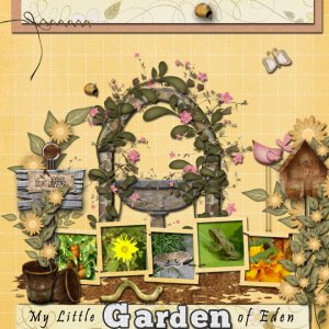 My Little garden of Eden