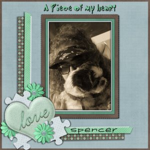 A Piece of my Heart